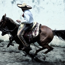 Adéntrate en la Cultura de México en tu Tiempo Compartido
