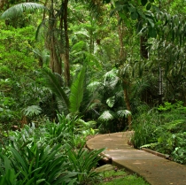 Una visita obligada: los jardines botánicos de Puerto Vallarta