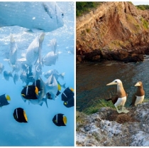 10 tips de viaje para apoyar la sustentabilidad turística en Riviera Nayarit